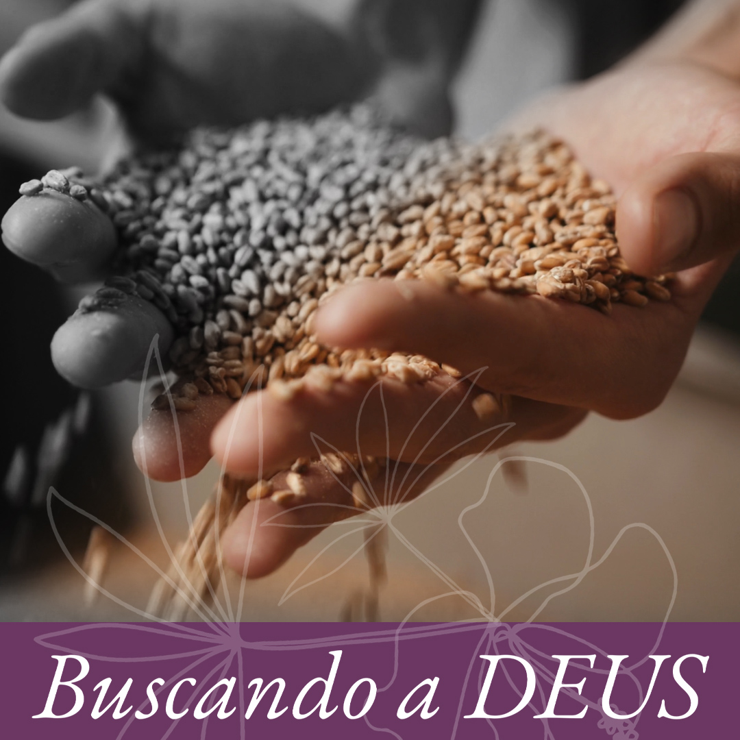 Buscando a Deus: Um grão de trigo