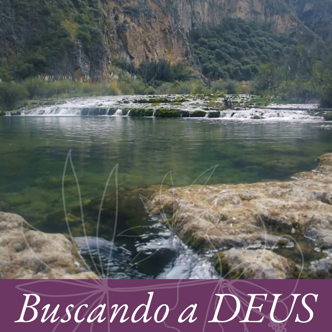 Buscando a Deus: É necessário que Ele cresça