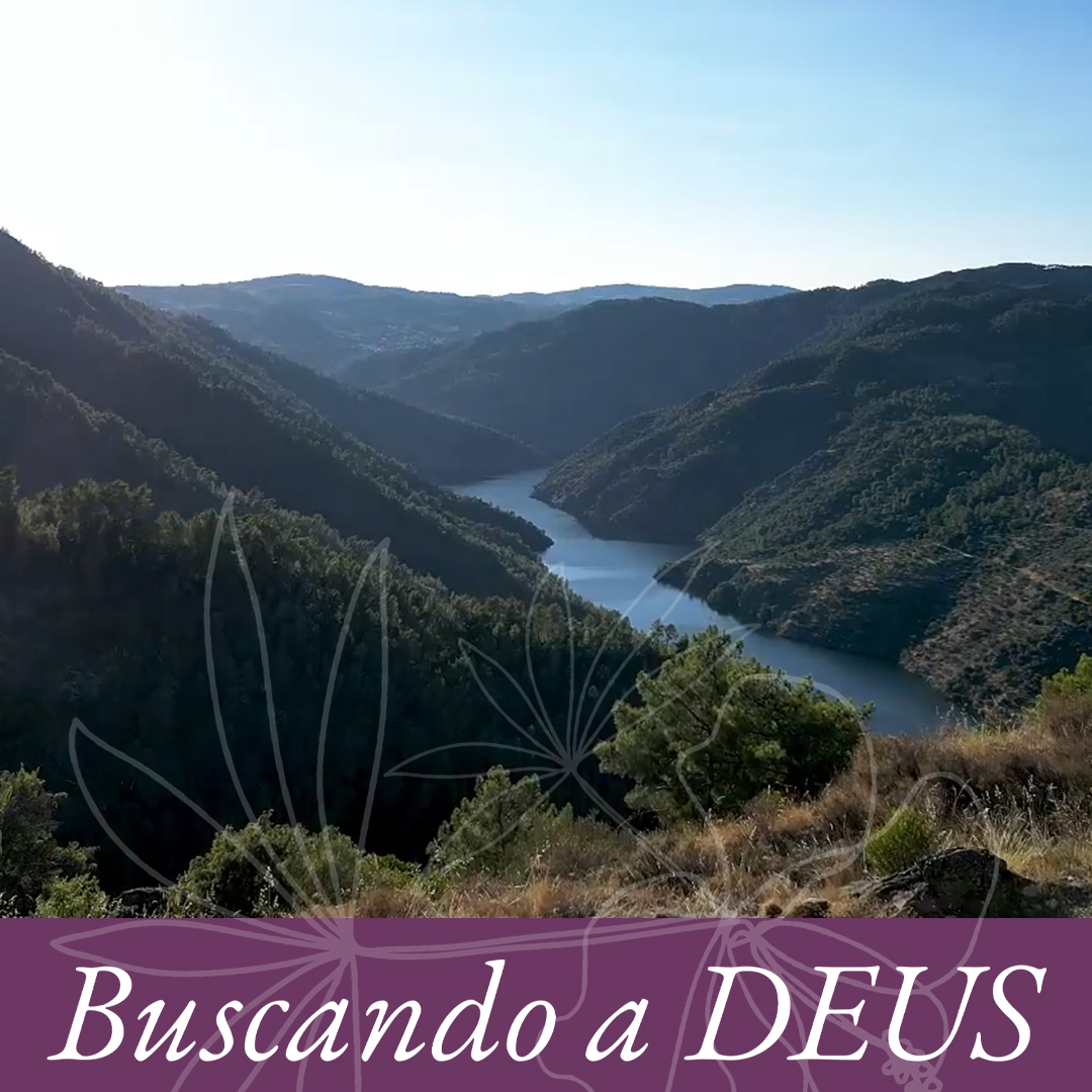 Buscando a Deus
