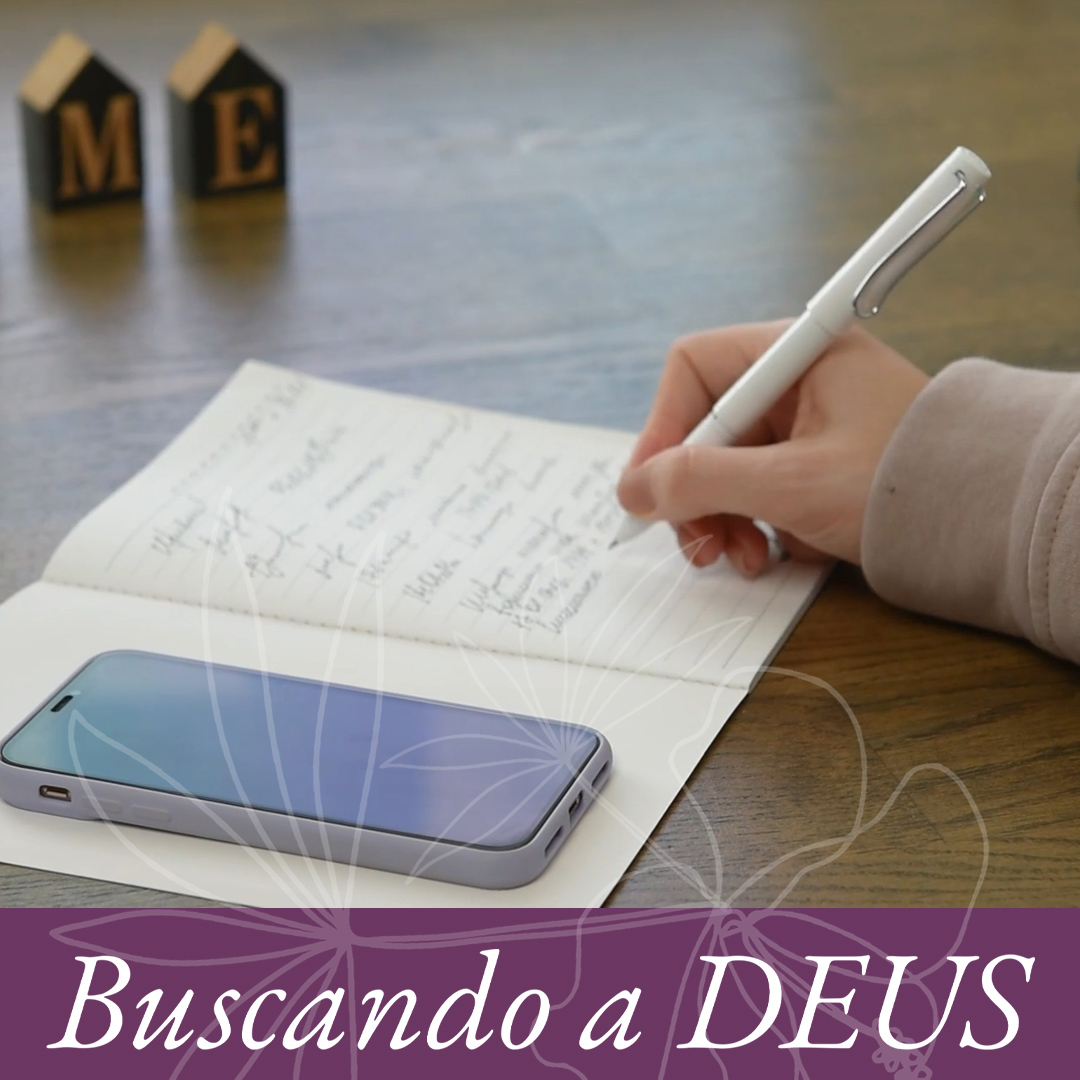 O primeiro diário episode artwork