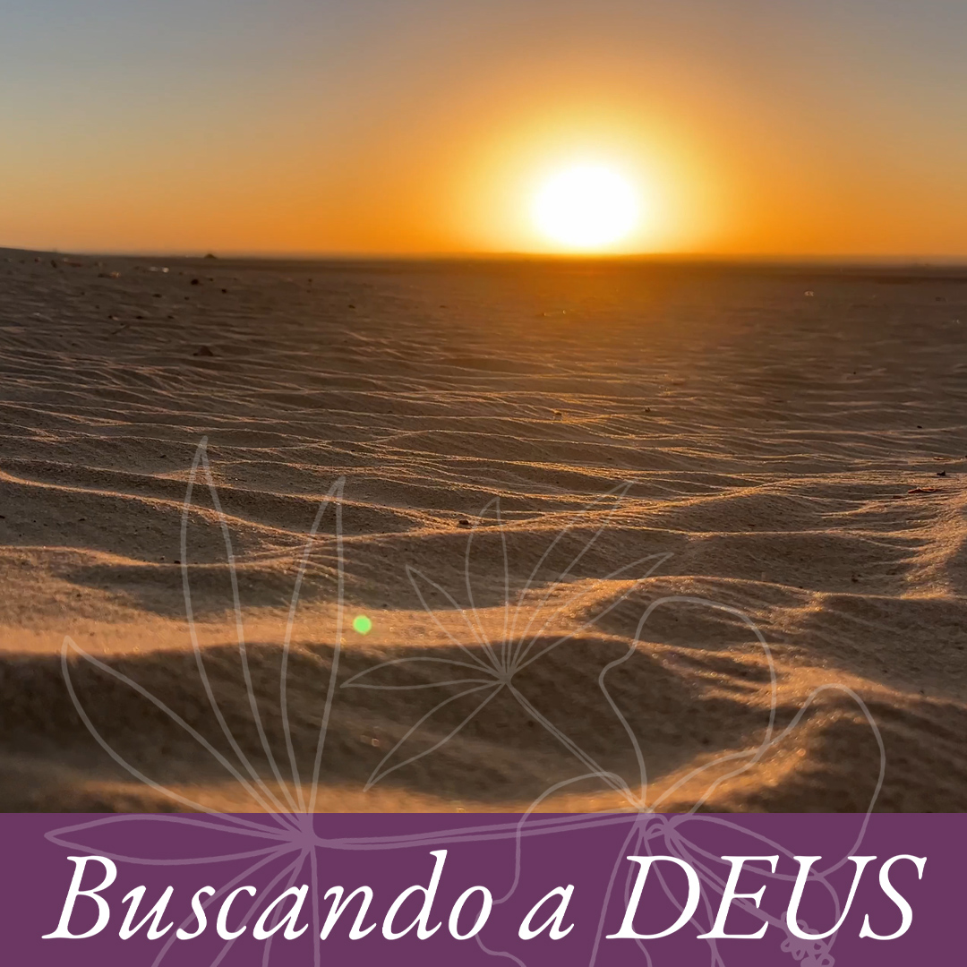 Preparada no deserto episode artwork