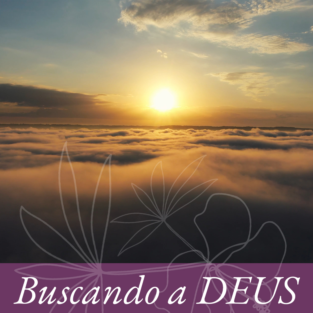 Elevando o nível episode artwork
