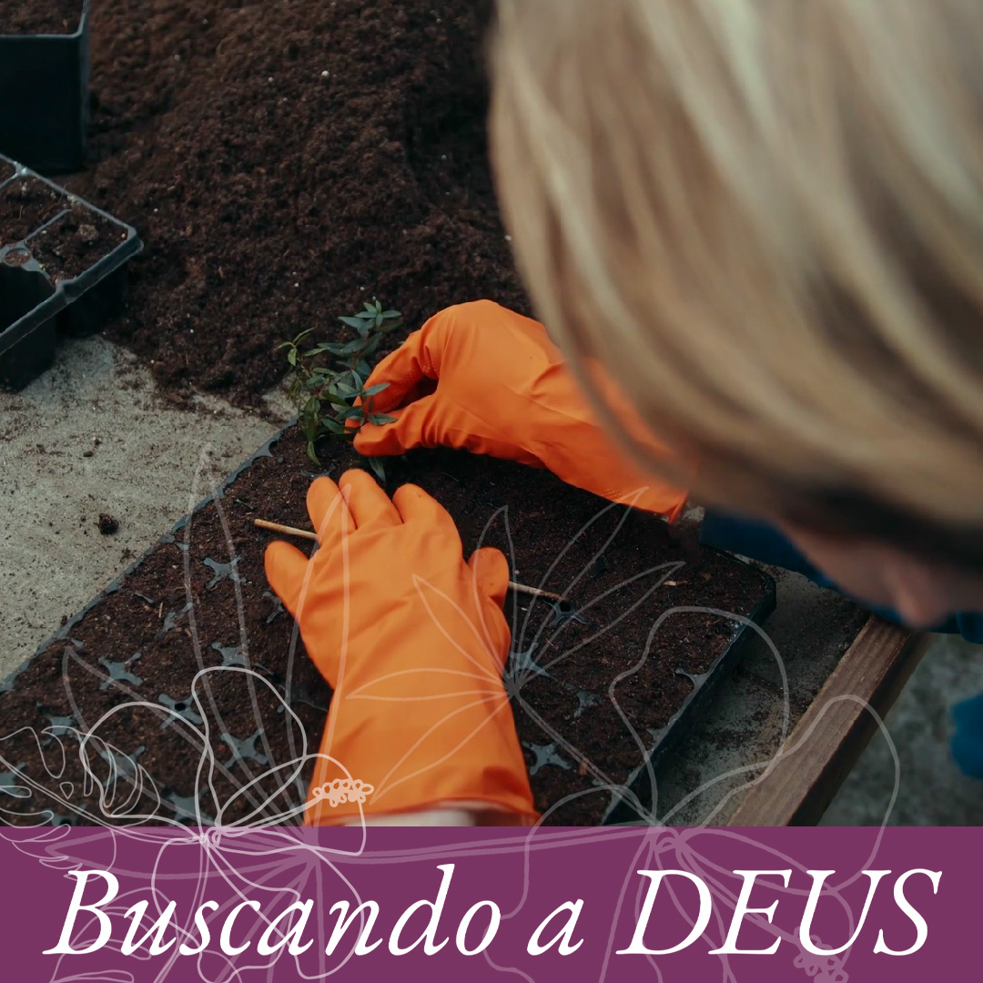 O jardim episode artwork