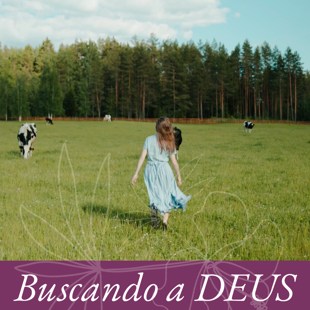 Santidade Irresistível episode artwork