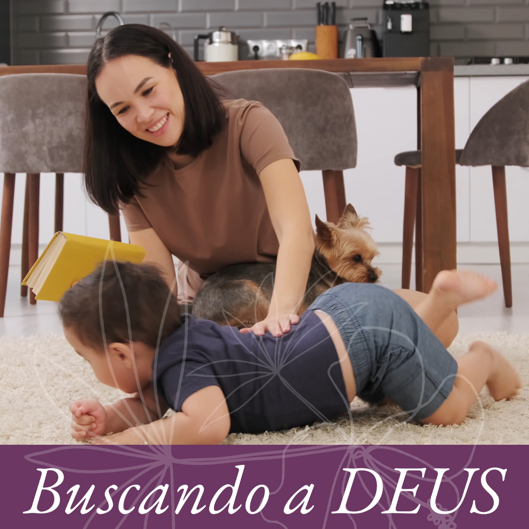 Outro conselheiro episode artwork