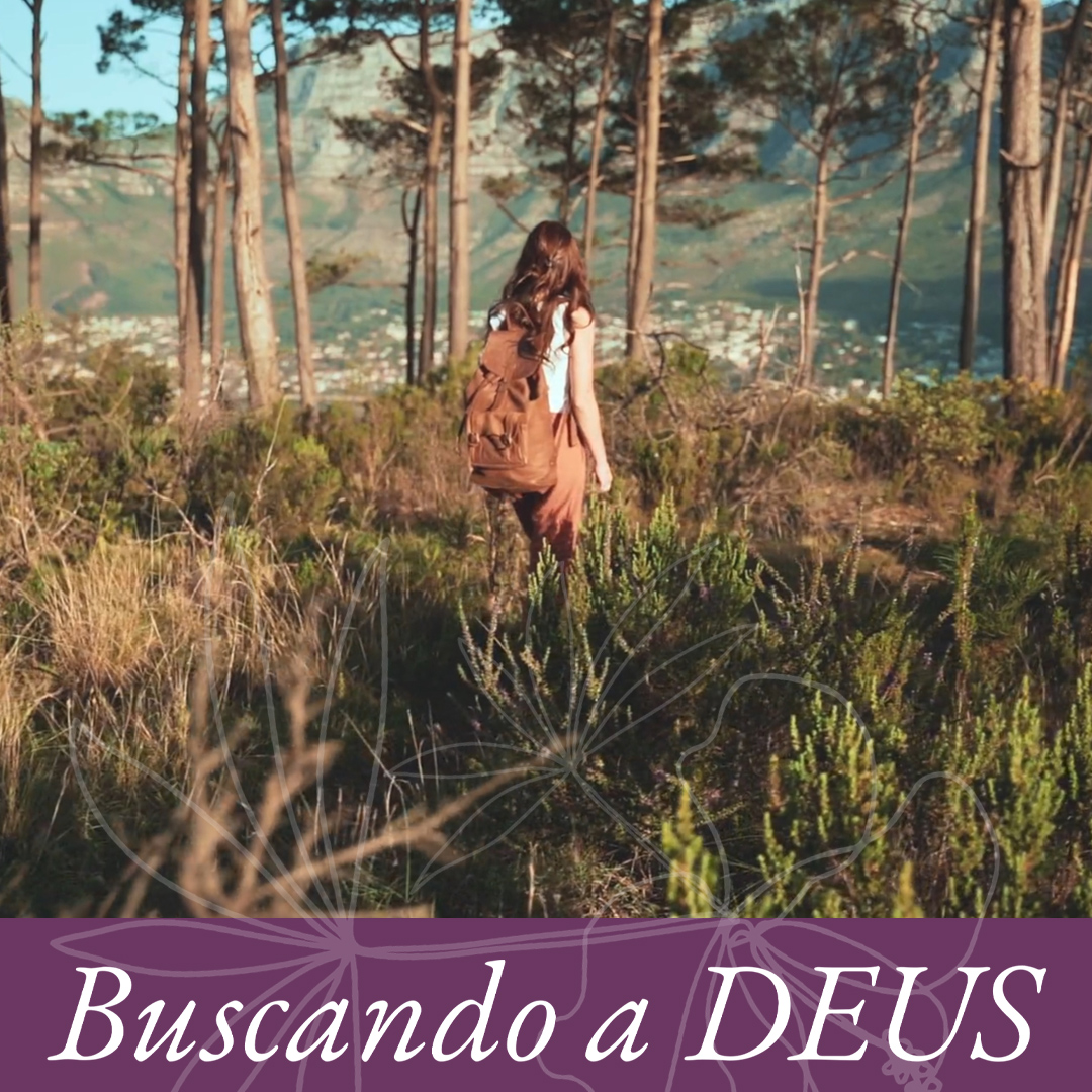 Espere e verá episode artwork