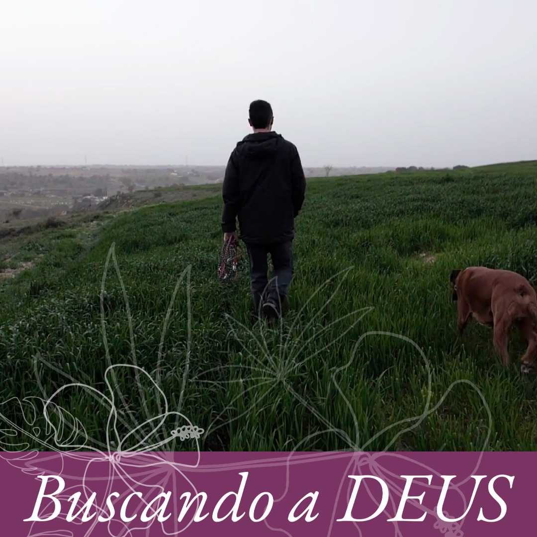 Em todas as ocasiões episode artwork
