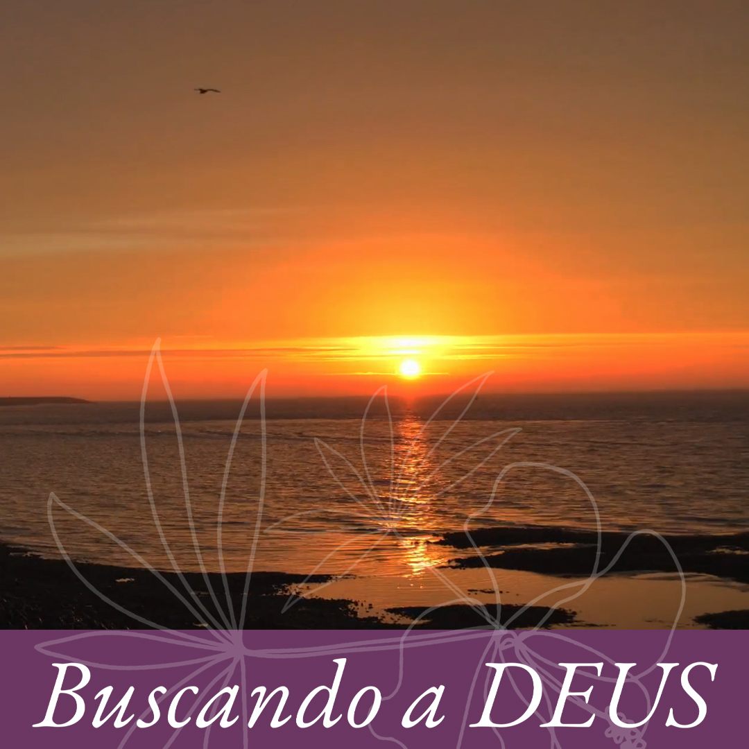 Noite e dia episode artwork