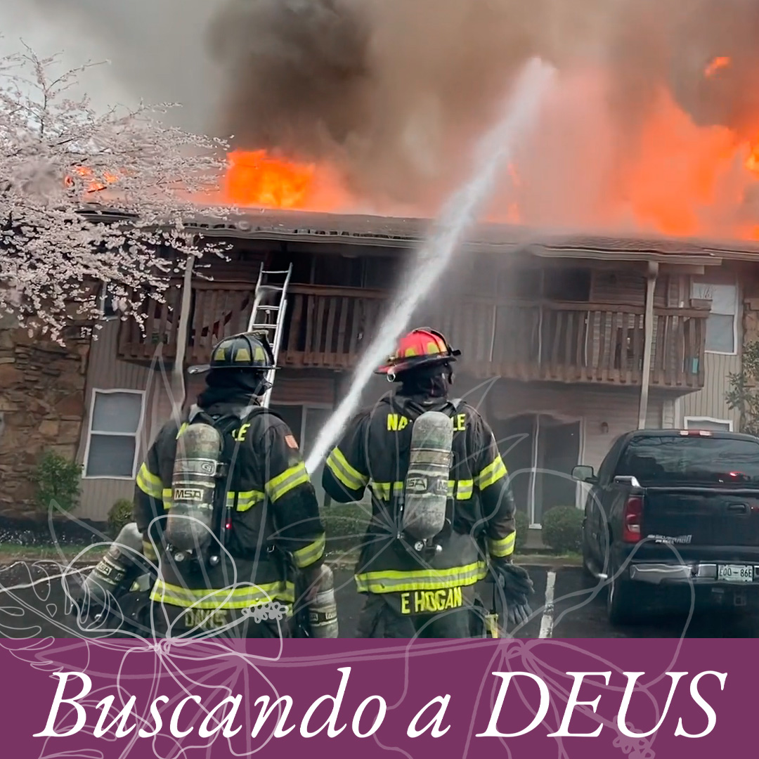 Uma casa em chamas episode artwork
