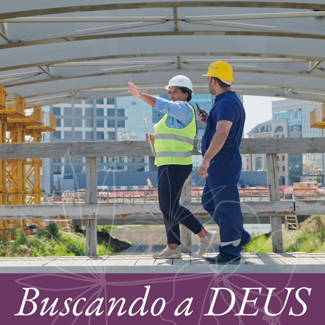 A planta do edifício episode artwork