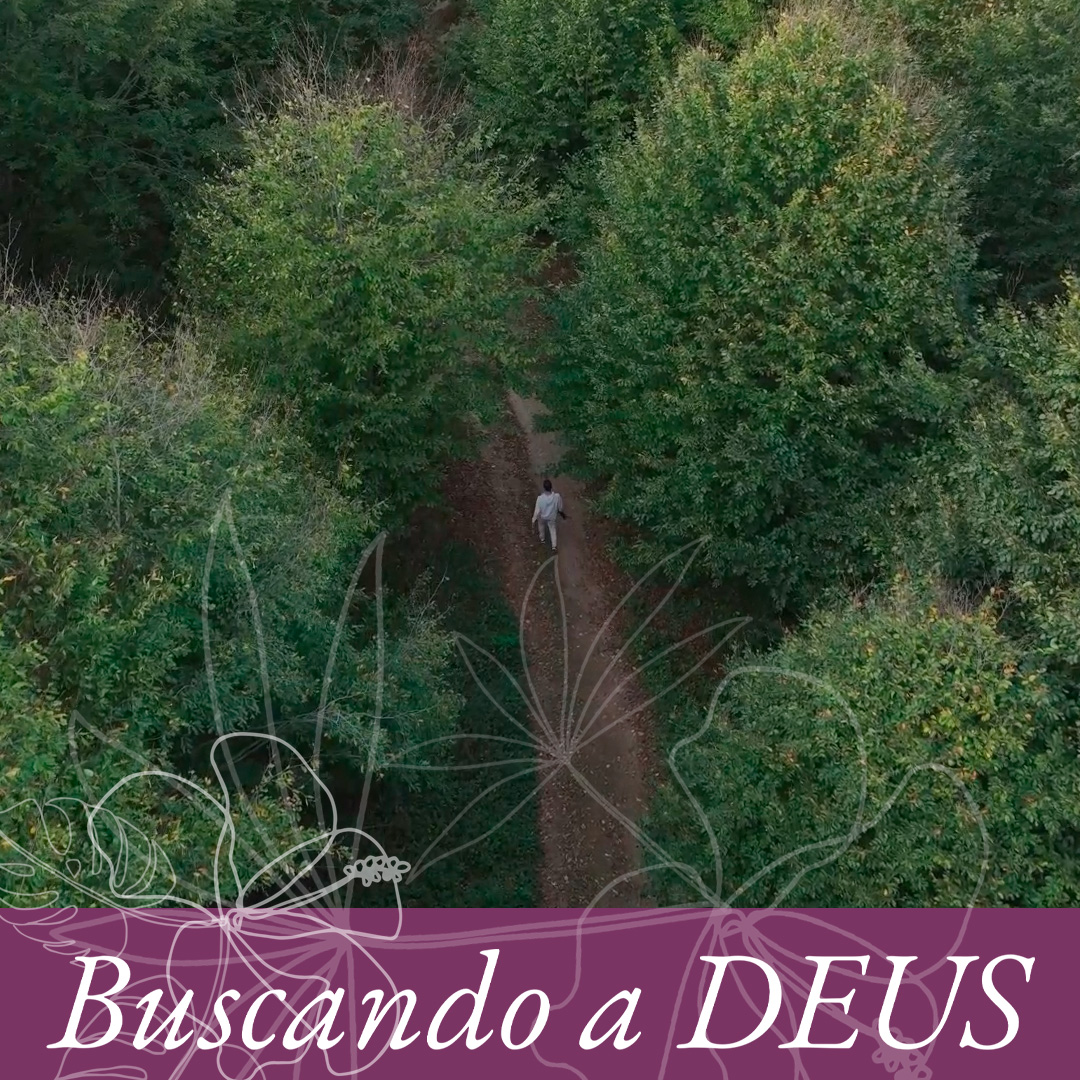 De pouquinho em pouquinho episode artwork