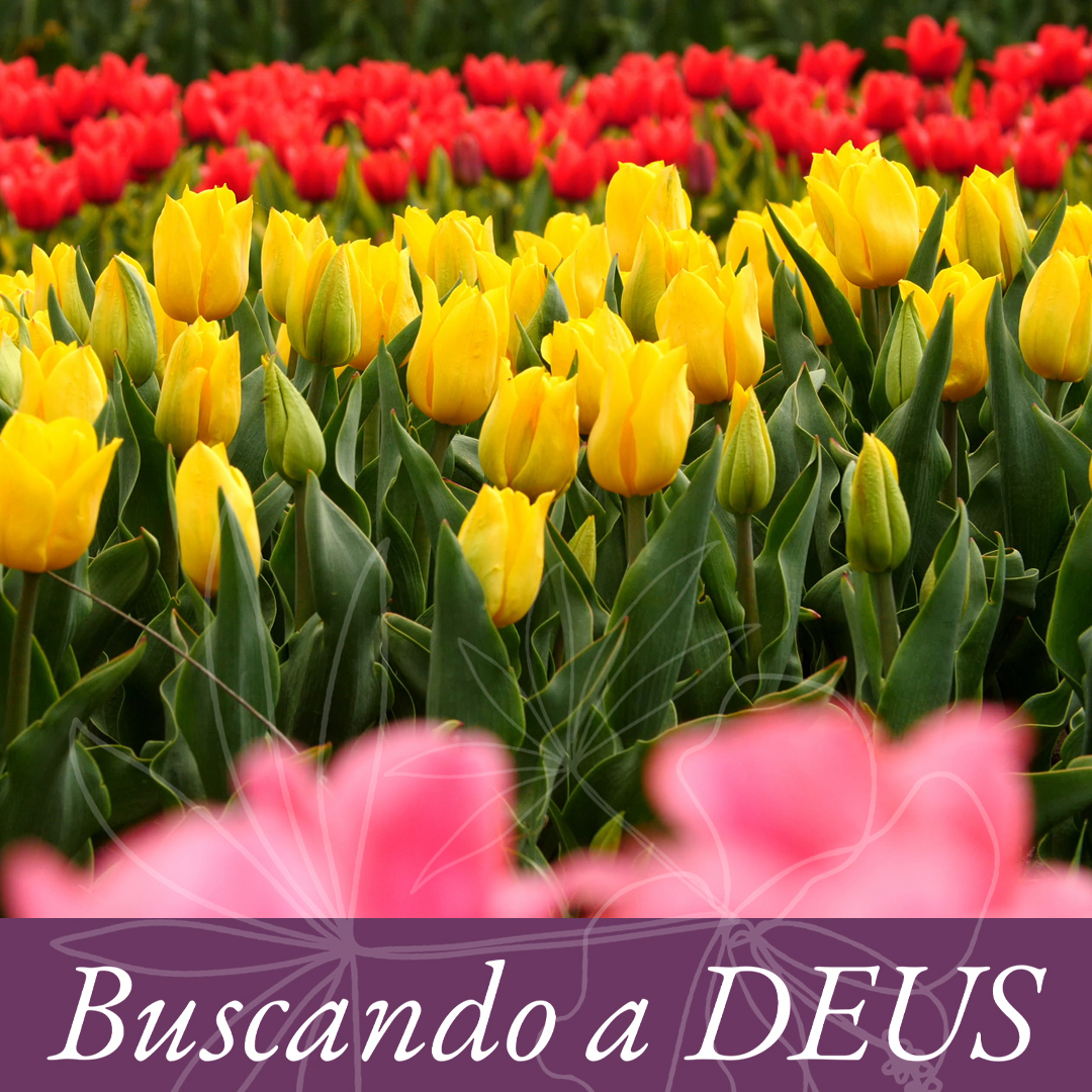 Formas de tentação episode artwork