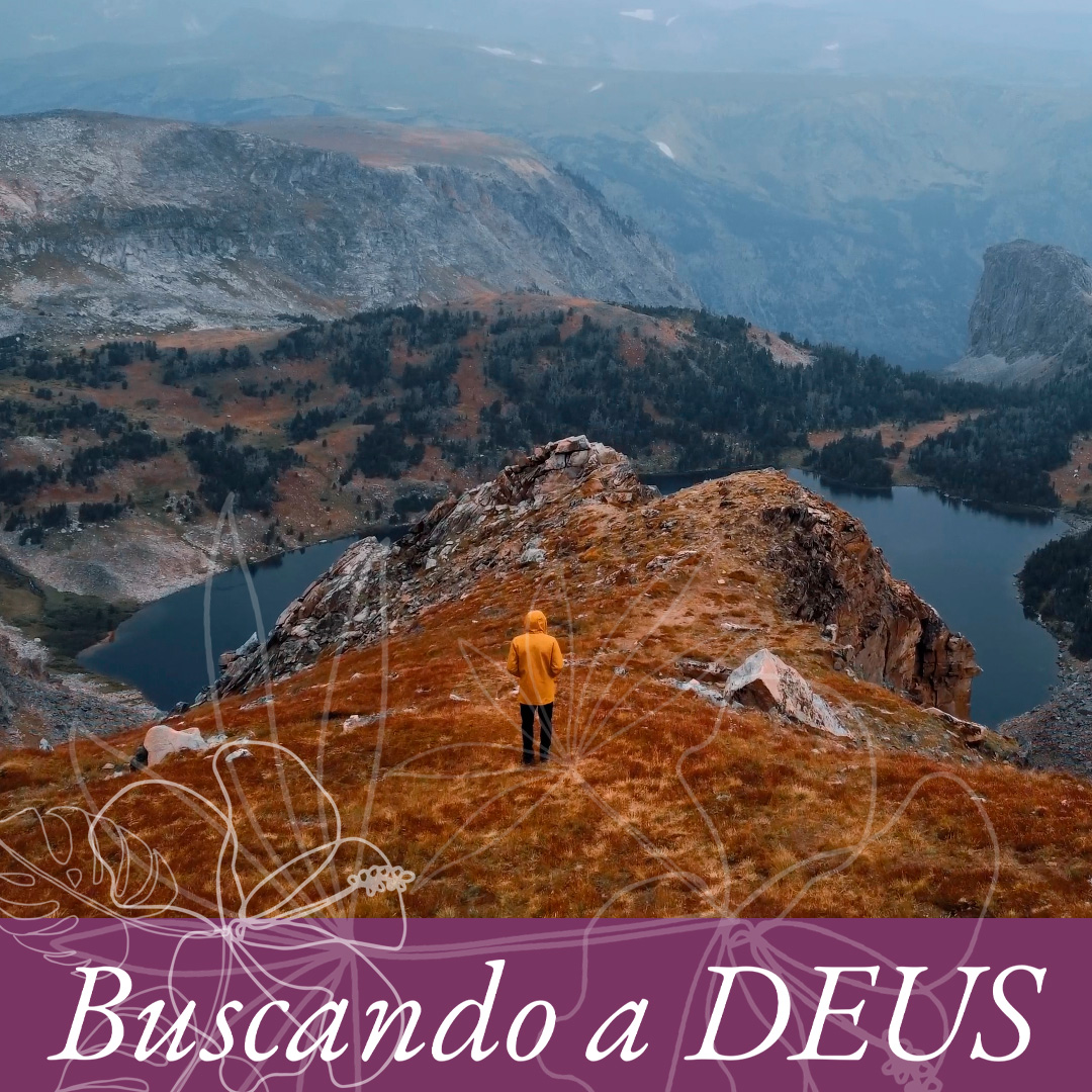 A vida entre os ursos pardos episode artwork