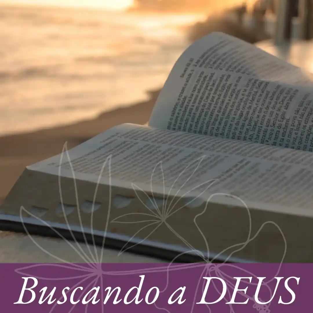 Deus concede o desejo episode artwork