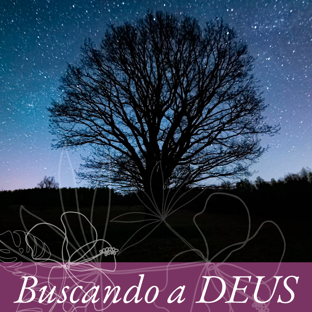 Contando as estrelas episode artwork