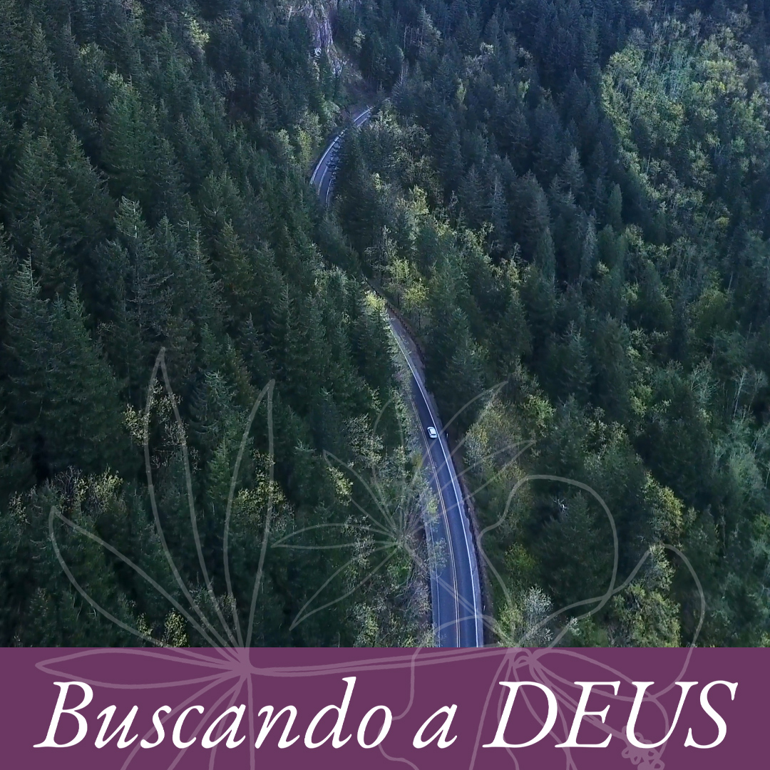 Direção episode artwork