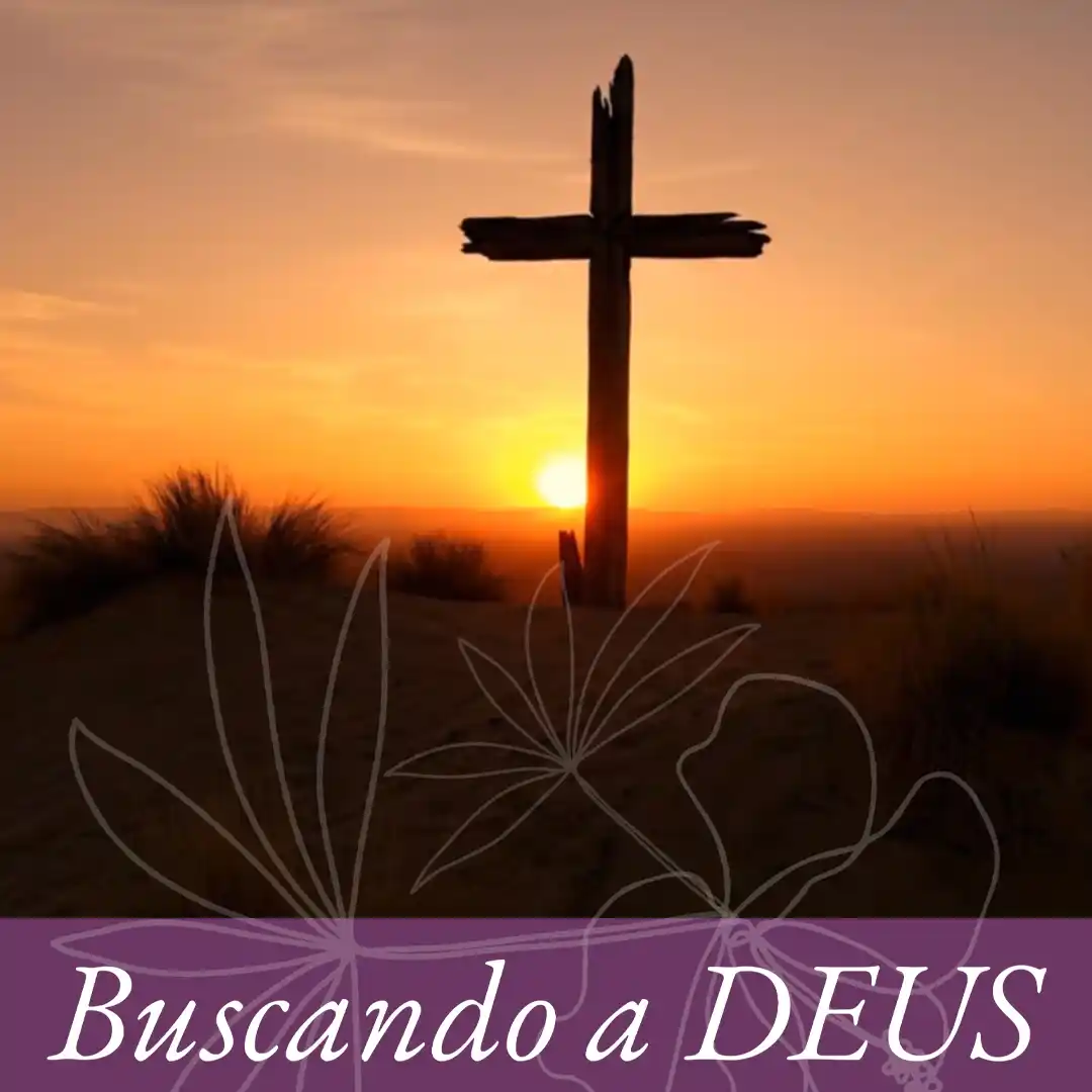 A base para o perdão episode artwork