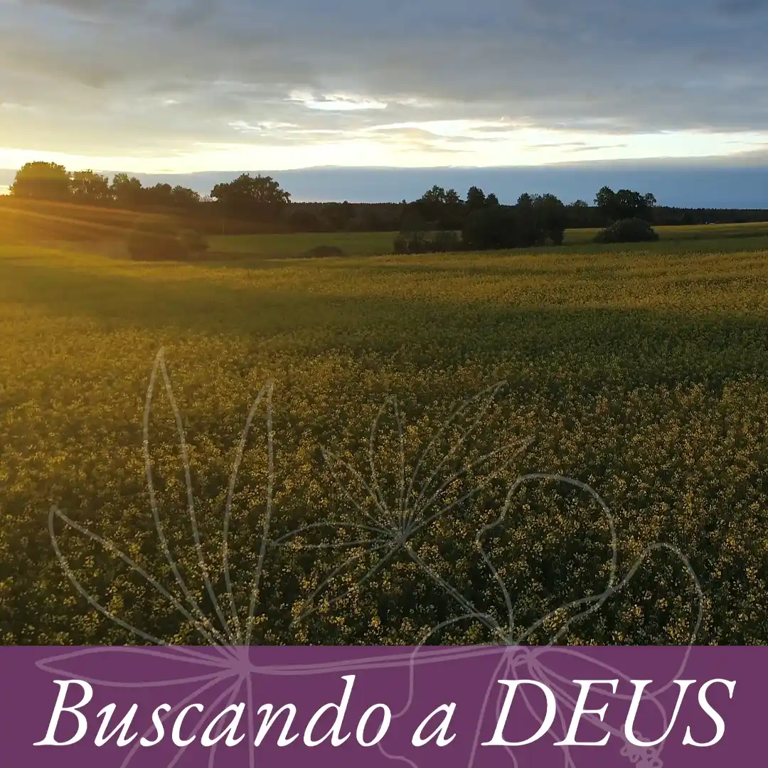 Os anjos regozijam episode artwork