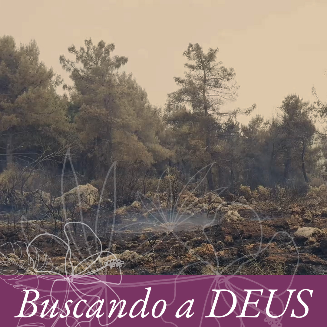 Queimada destrutiva episode artwork