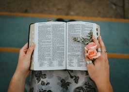 Deus as fez meninas: Ajudando adolescentes a abraçar … image