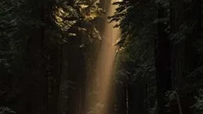 Esperança e encorajamento